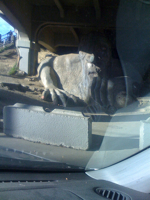 Fremont Troll, Seattle, WA